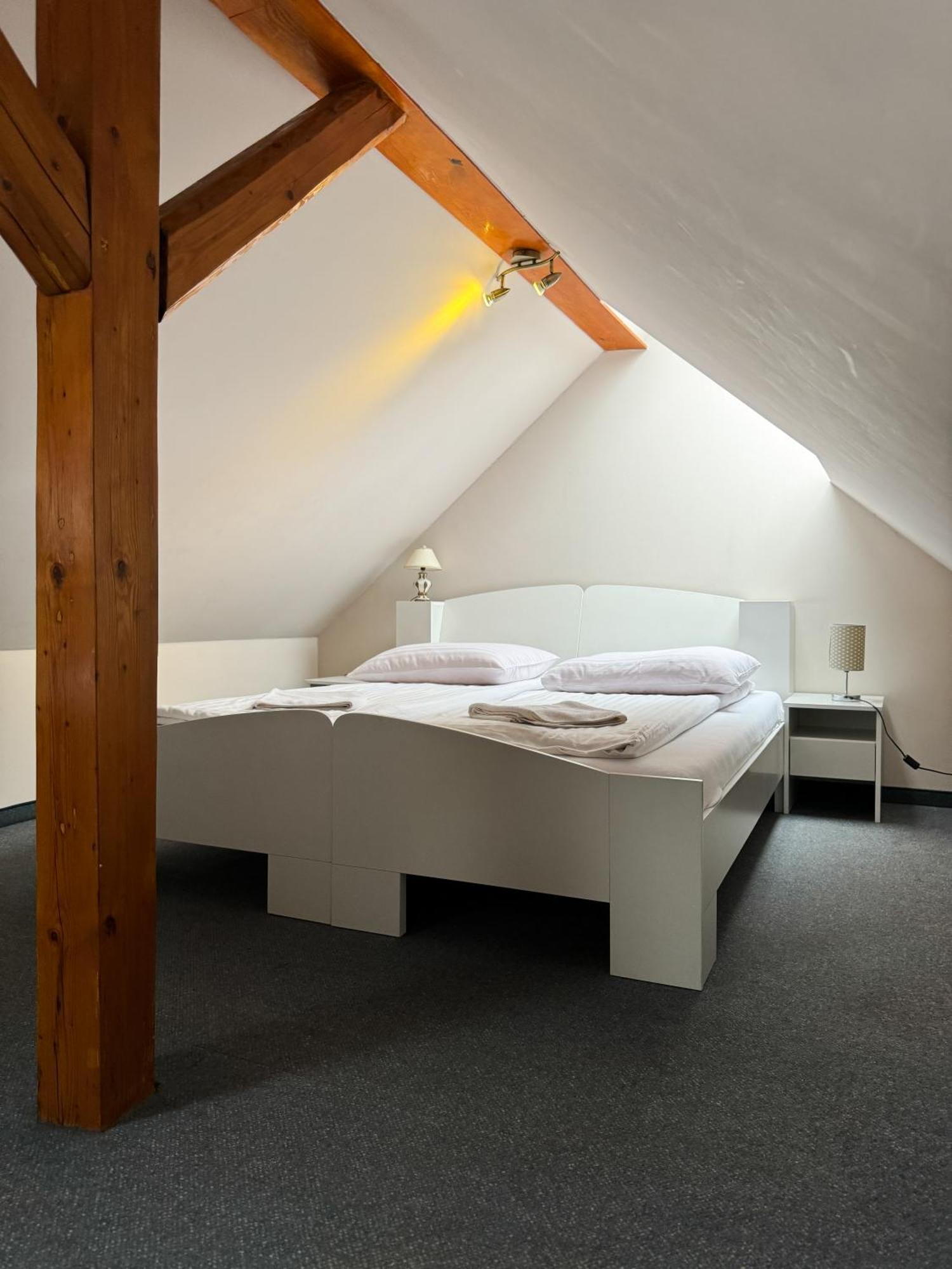 Villa Carmen Kudowa-Zdrój Extérieur photo